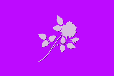 Flower Pink Long, par Xavier E. G. Dierick